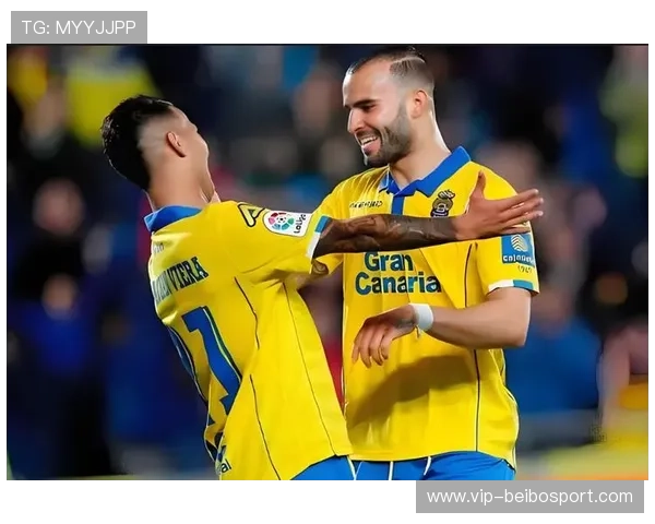 拉斯帕尔马斯俱乐部最新赛季表现分析与未来战略展望