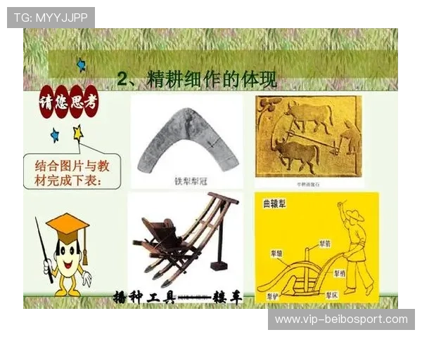 农业博洛尼亚俱乐部推动可持续发展与创新农业模式的实践与探索